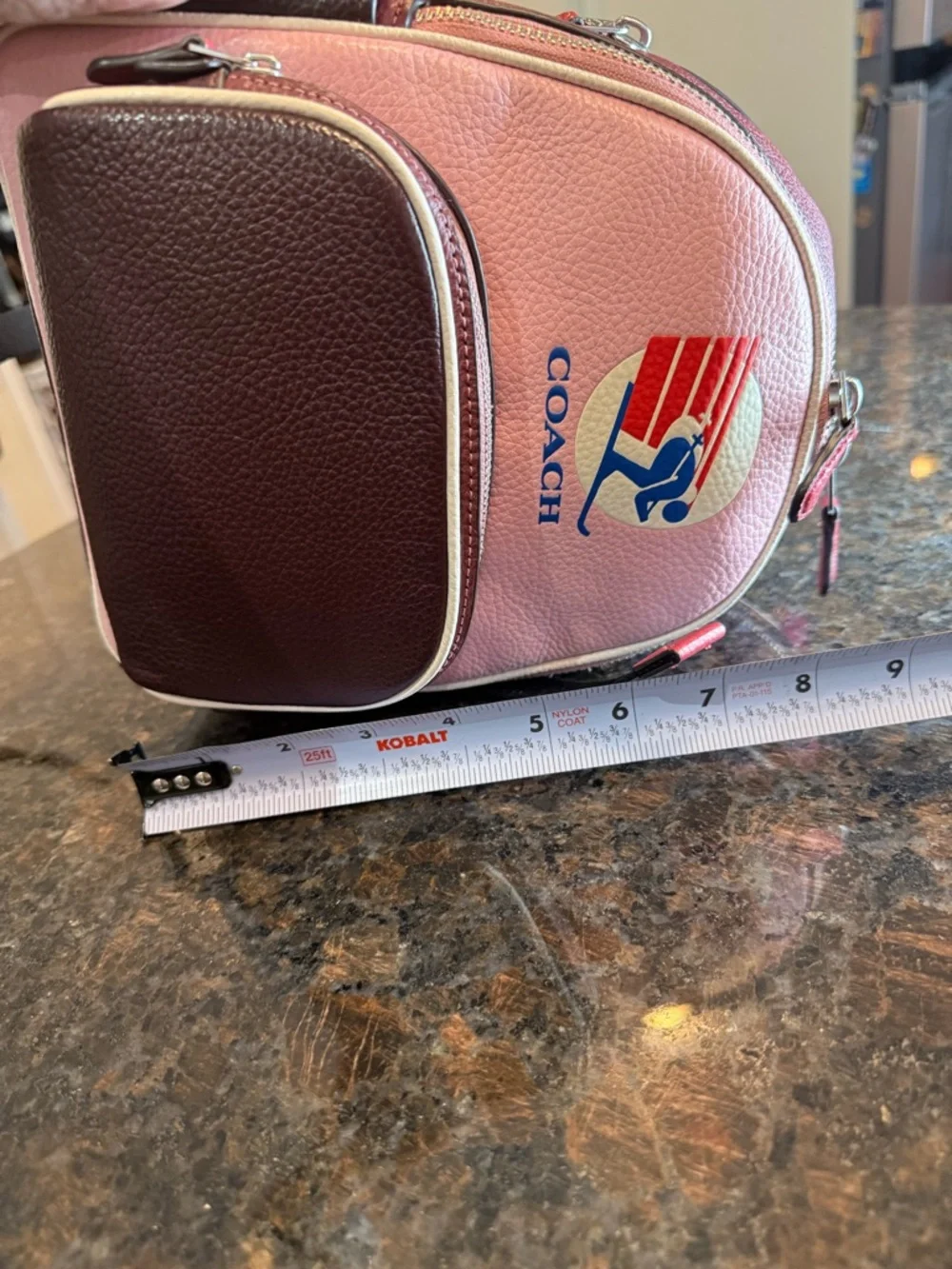 Coach Pink and Burgundy Colorblock Leather Mini Court Backpack Skiing